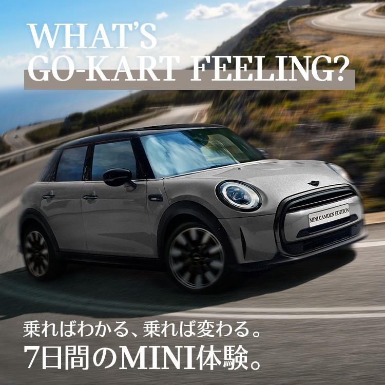 Family monitor campaign success page